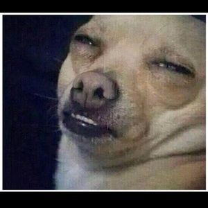 Meet your Posher, Amit